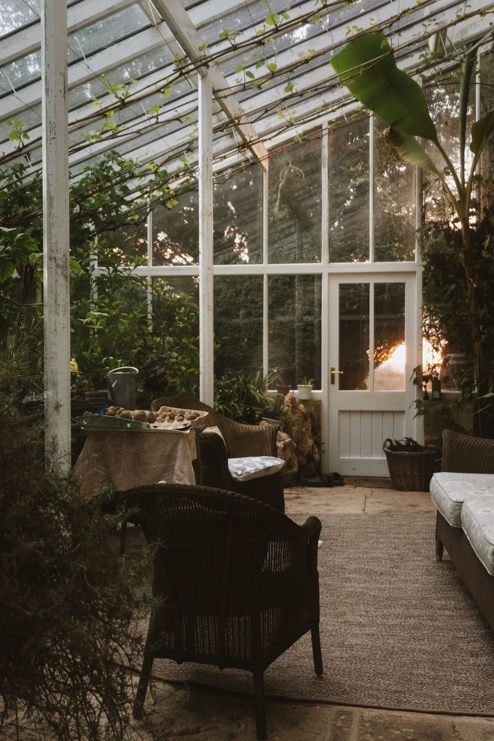 Victorian style conservatory with glass roof and planting